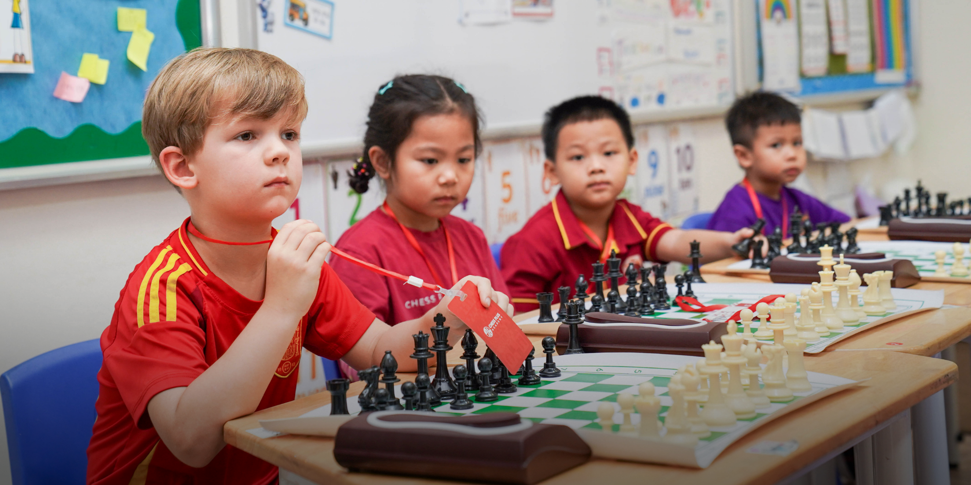 Progress tracked across clear learning levels